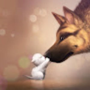 Meet your Posher, Damen